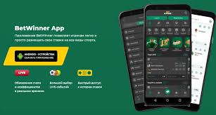 Comprehensive Guide to BetWinner Bonus Details -822399339