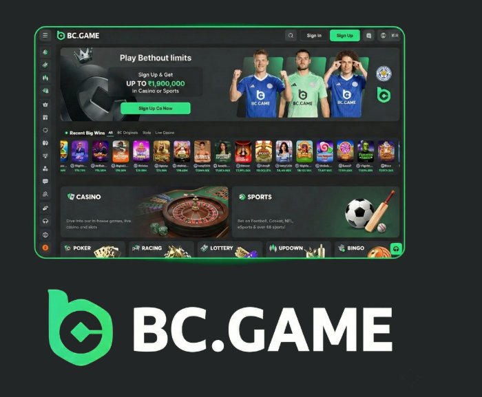 Explore the Exciting World of BC.Game Crypto Casino